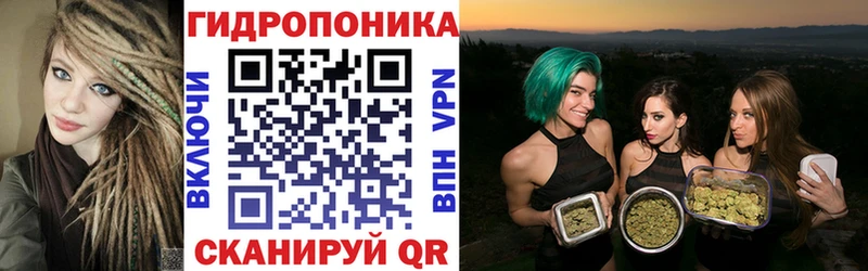где продают   Мензелинск  Бошки марихуана план 